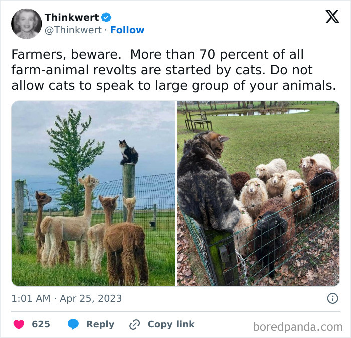 Yep, This Totally Happens