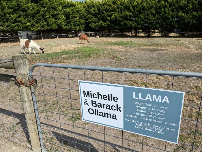 Australian Farm With a Seriously Good Sense of Humor