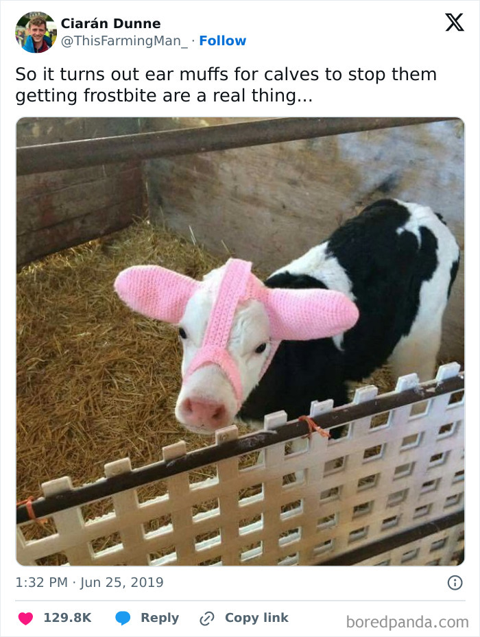 When Grandma’s Knitting Goes Horribly Wrong, But Mom Says You Have to Wear It