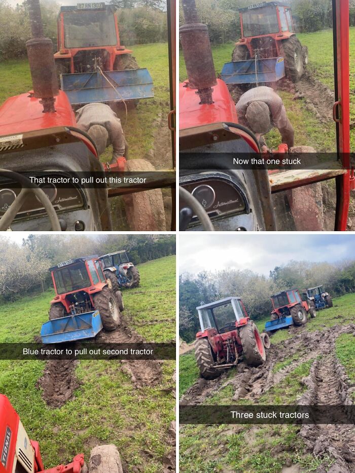 Farm Adventures Told in Four Pictures