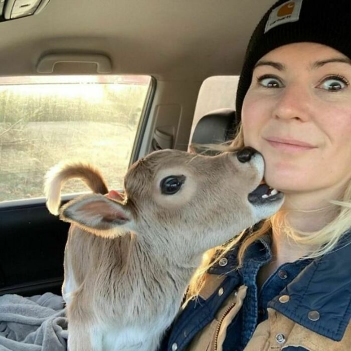 Hold Tight — This Car Ride’s Gonna Be a Wild One