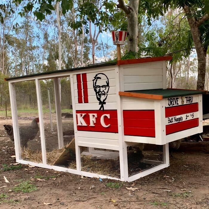 This Is the Funniest Thing You’ll See All Week—Genius Alert