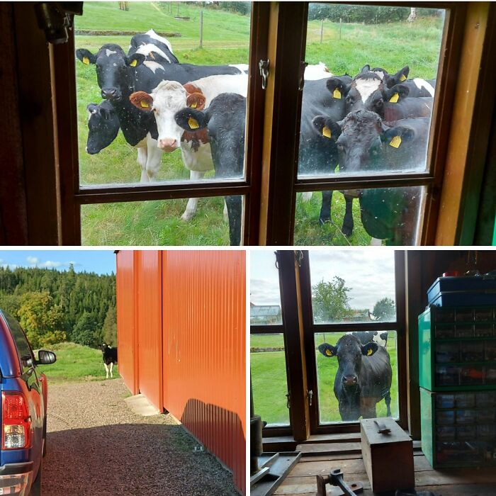 Life on the Farm, Be Like...