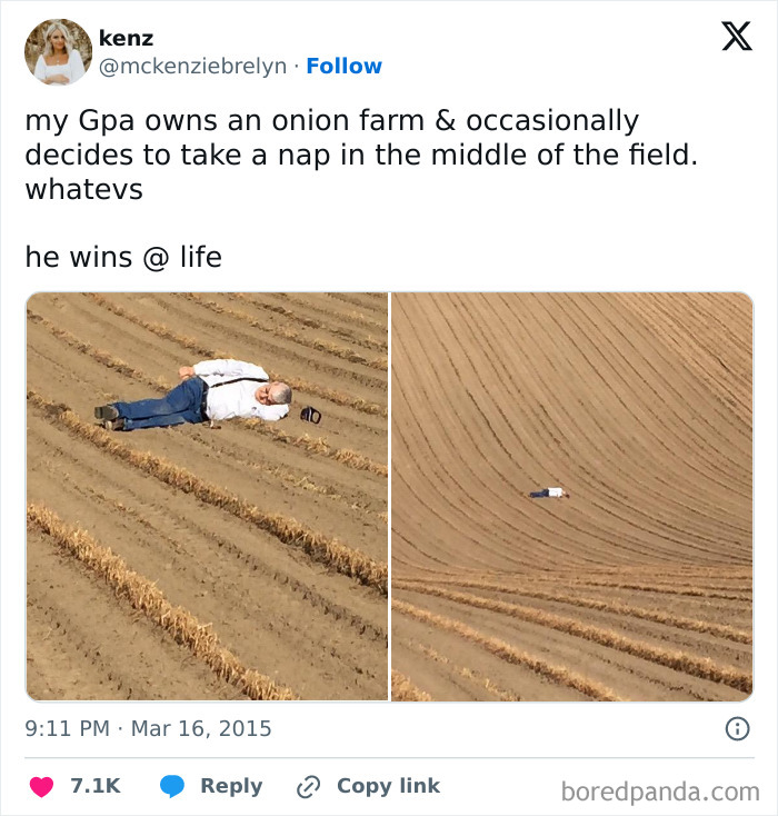 Grandpa’s Napping Game on the Farm Is Top-Notch