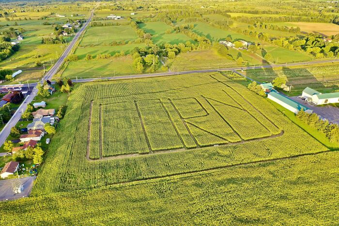 Neighbor’s Farm Has Corny Humor That’s Actually Funny