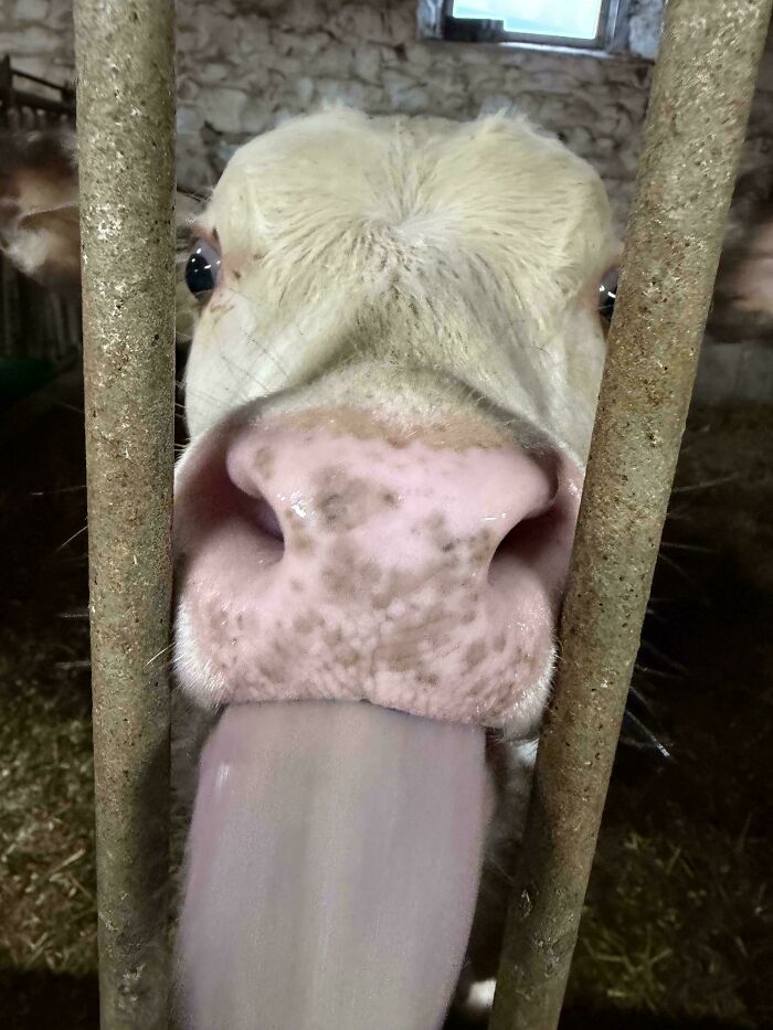 Quick Funny Pic Before the Chaos