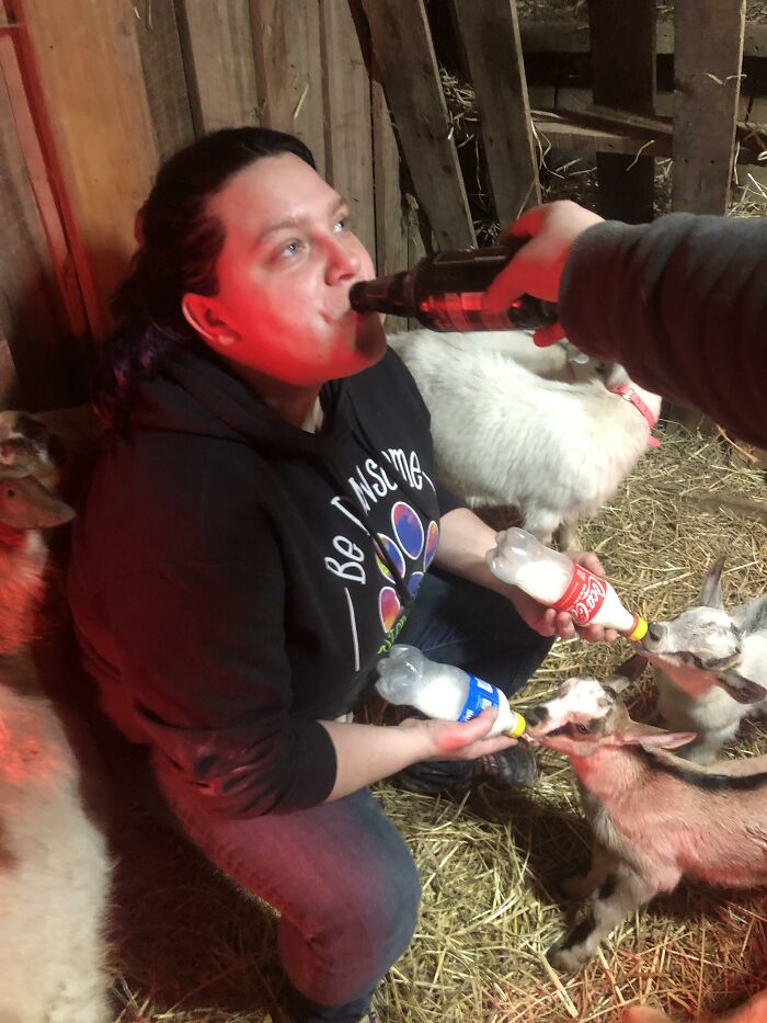 Bottle Feeding Time: Farm’s Cutest Moment