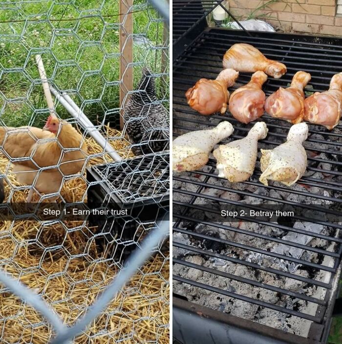 Farm Life 101: How to Be a Farmer