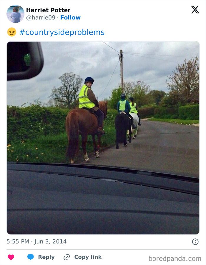 When the Countryside Has Problems, They’re Hilarious