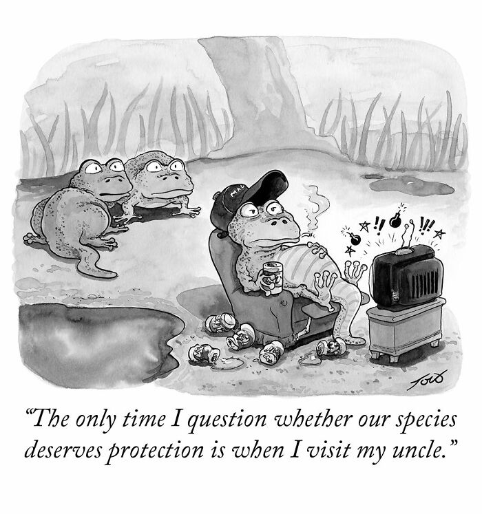 63 One-Panel Comics By Tom Toro That Are Weirdly Hilarious and Smart