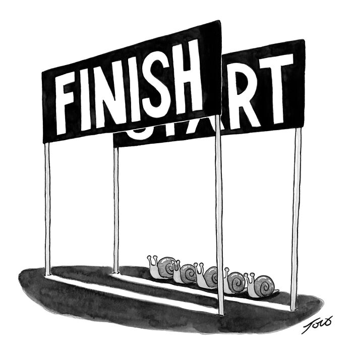 63 One-Panel Comics By Tom Toro That Are Weirdly Hilarious and Smart
