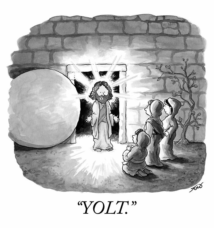 63 One-Panel Comics By Tom Toro That Are Weirdly Hilarious and Smart
