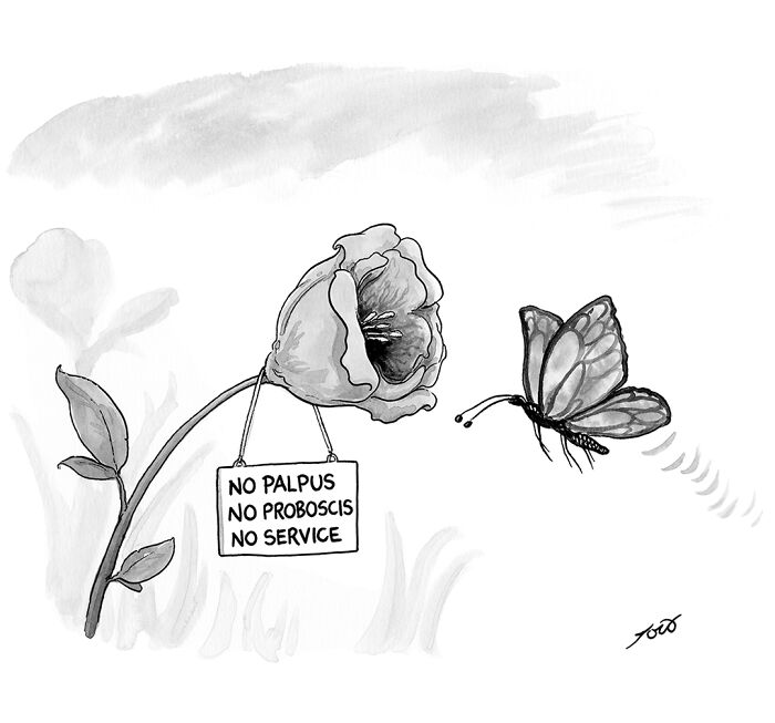 63 One-Panel Comics By Tom Toro That Are Weirdly Hilarious and Smart