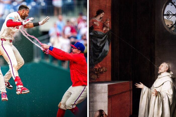 Saint Bernard or Star Player?