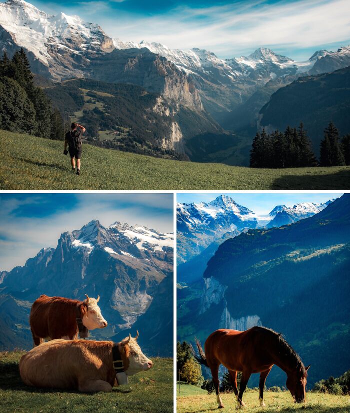 Spent A Week Exploring Switzerland’s Dreamy Jungfrau & Bernese Oberland