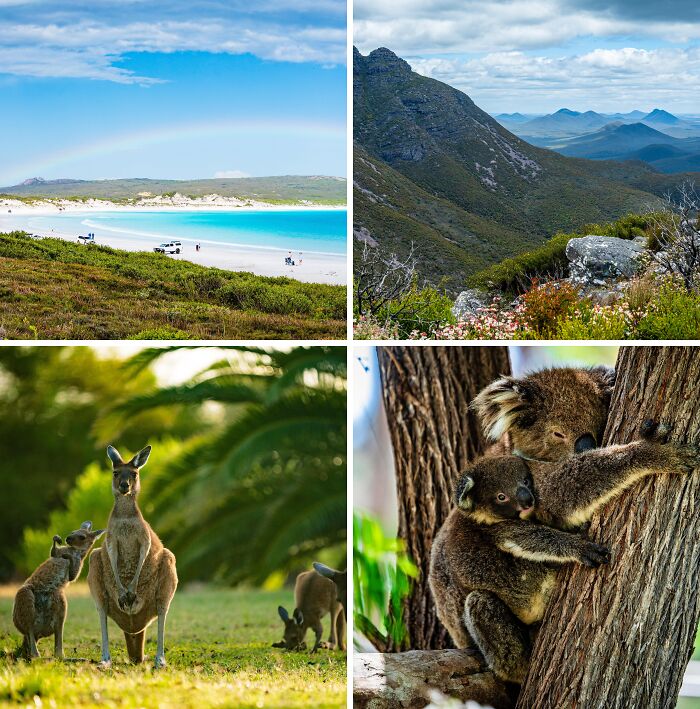 Wild and Wonderful Western Australia