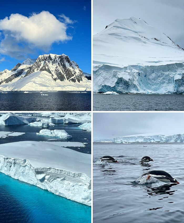 Antarctica: The Ultimate Frozen Adventure