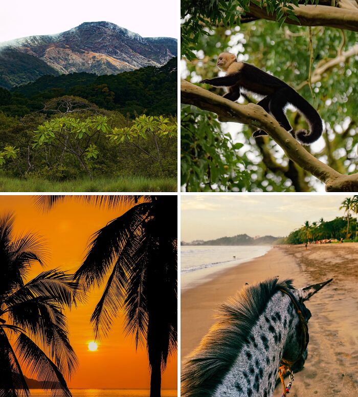 Living the Pura Vida Life in Costa Rica