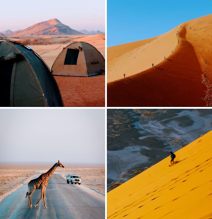 10 Days Wild in Namibia, Africa (Aug 2022)