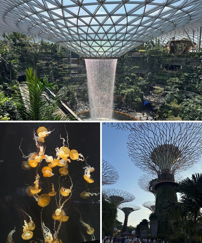 Solo Adventures in Singapore