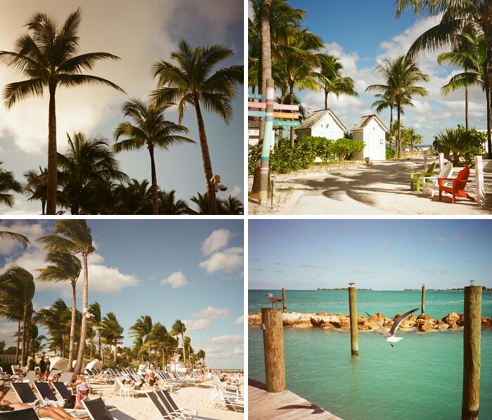 Bahamas on Film: Best Shots from Last Month