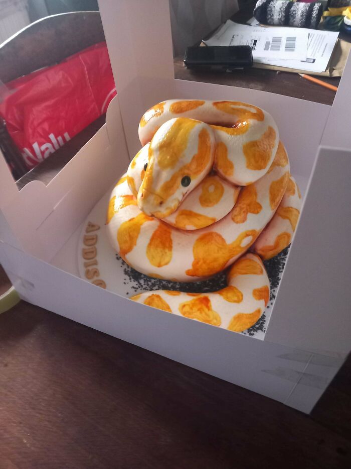 Mom’s Recent Cake—Home-Baked and Full of Heart