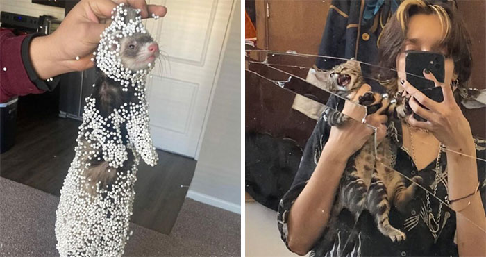 Wait, They Actually Did That?! Meet The World’s Most Hilarious Troublemakers