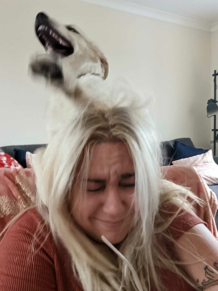 Asked My Sister About Her New Puppy... Got This
