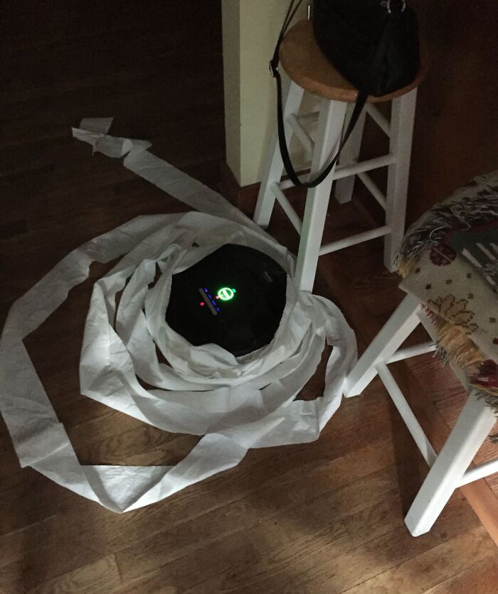 Mischievous Roomba Needs To Face The Music