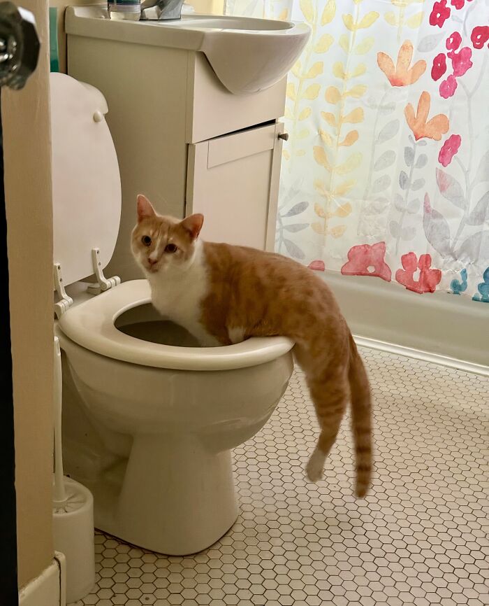 This Boy: All Mischief, No Chill