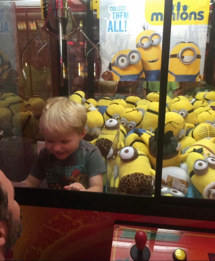 My Son’s Brilliant Plan: Wants A Minion... Somehow