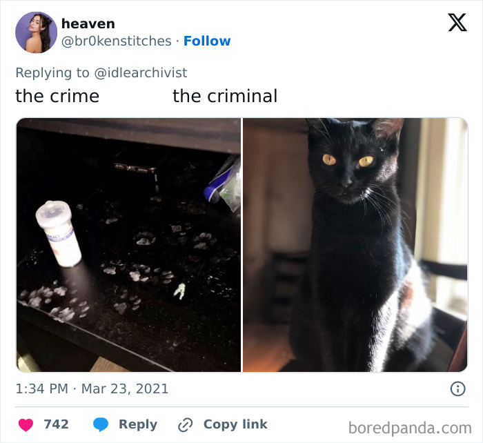 This Baby? Definitely Not The Culprit