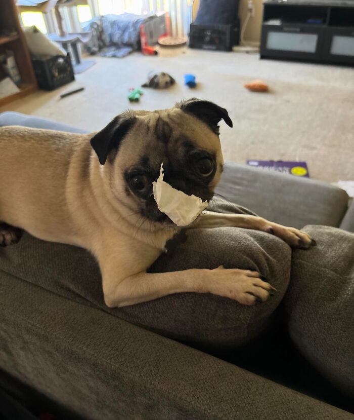 Chased Her Down The Hall For THE Tissue She Was Not Allowed To Have