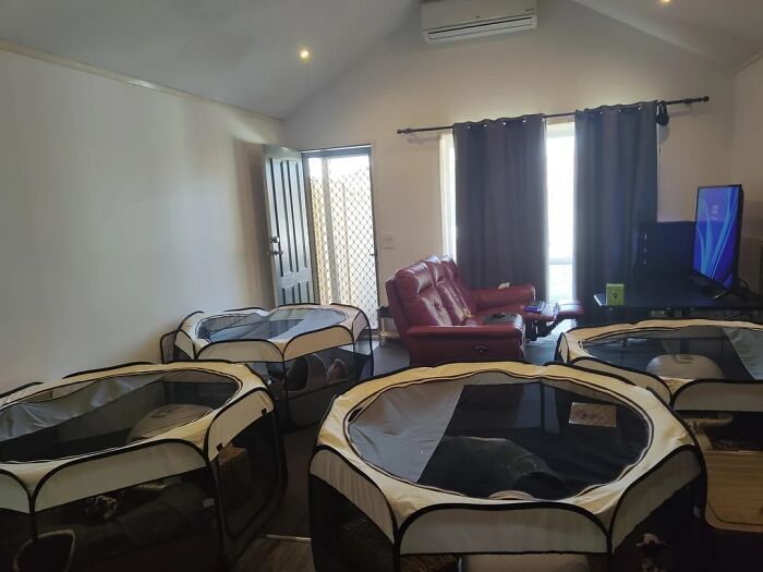 Check Out These Wild & Wacky Bachelor Pads That Will Totally Surprise You!