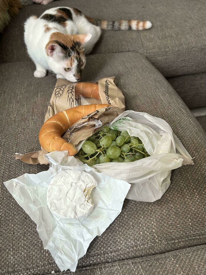 Girl Dinner After My Heart Lowkey Got Broken (I Ate The Cat Too)