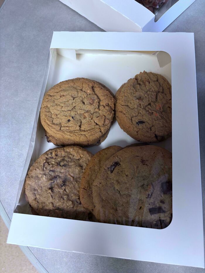 Overshared At A Work Meeting. HR Scheduled A Meeting For Tomorrow Morning. Whole Box Of Cookies