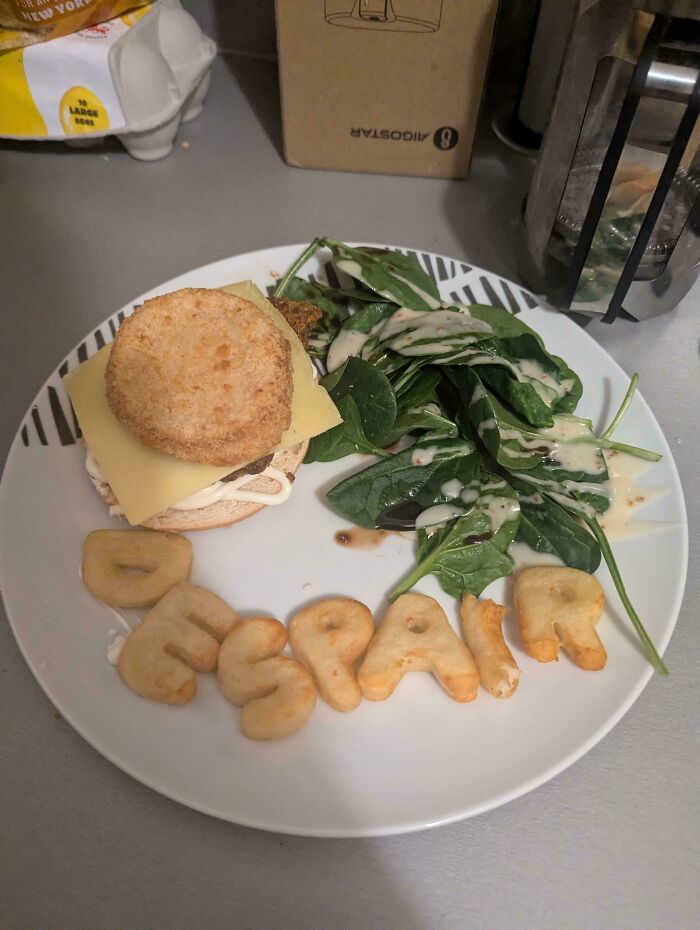 I Have A Master's Degree And I Earn Minimum Wage. Chicken Burger Of Absolute Despair