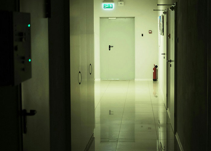 Let's Peek at the Wildest 'No Way They Let You In!' Stories