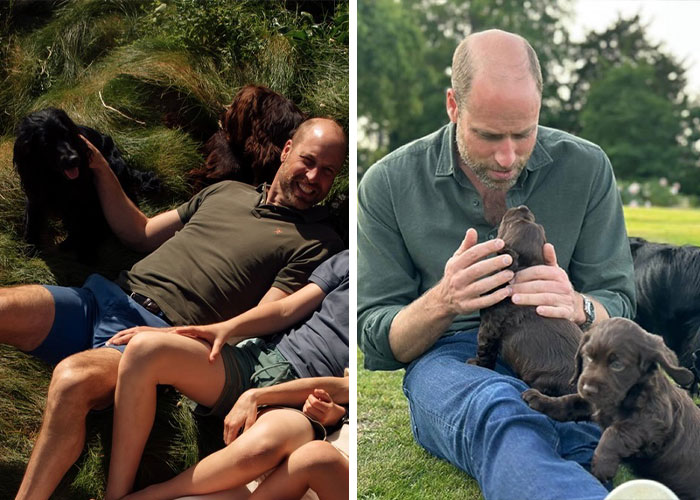The Dogs Made a Cameo (Because Of Course They Did)