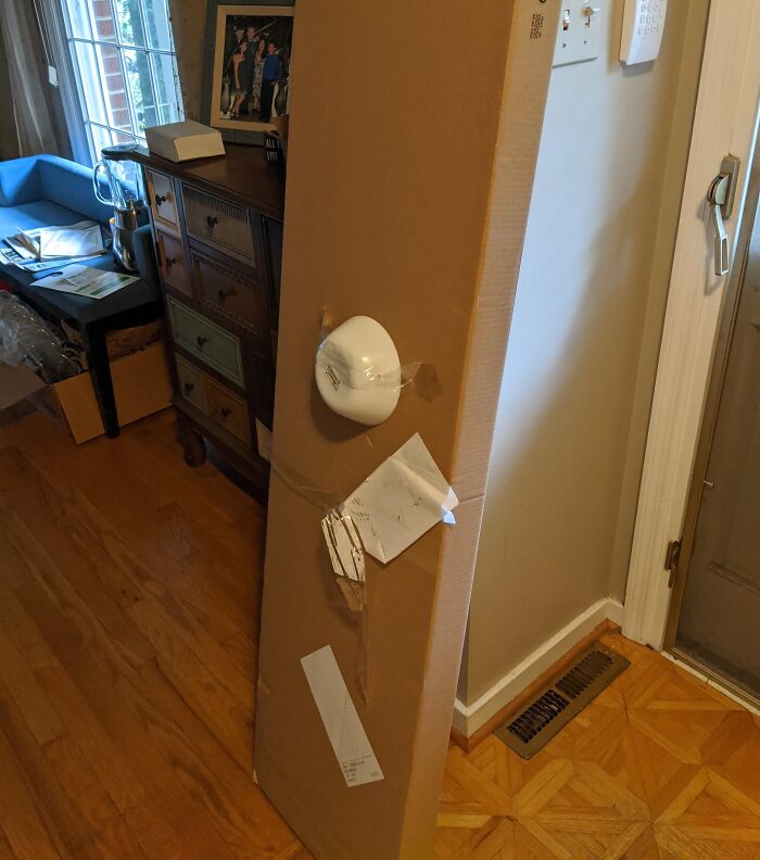 Ordered Furniture, Got a Bowl Instead