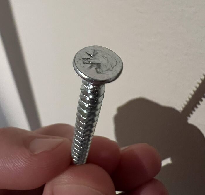 That One Screw… Always the Last One