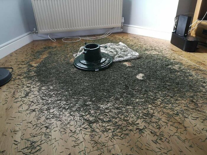 ‘This Tree Doesn’t Shed,’ Said the IKEA Guy