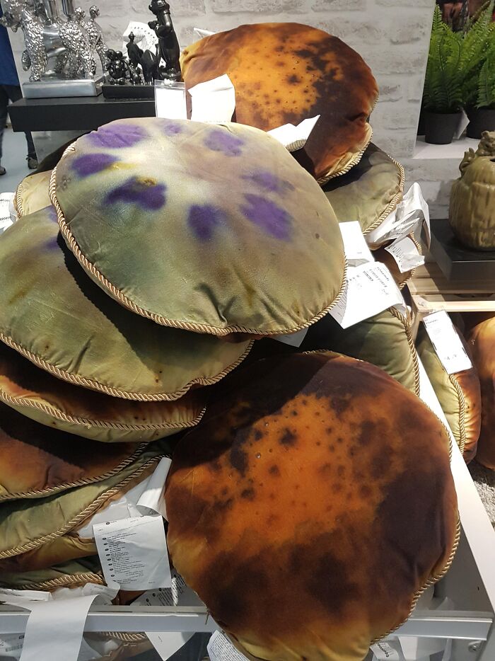 IKEA Cushions or Moldy Pillows? You Decide