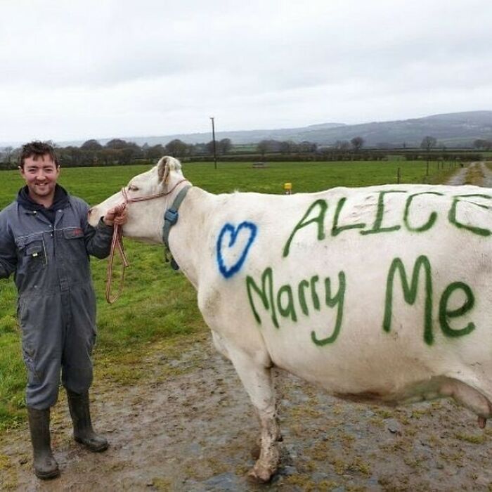 Wait, They Actually Took These?! 49 Totally Bizarre and Hilariously Cursed Pics