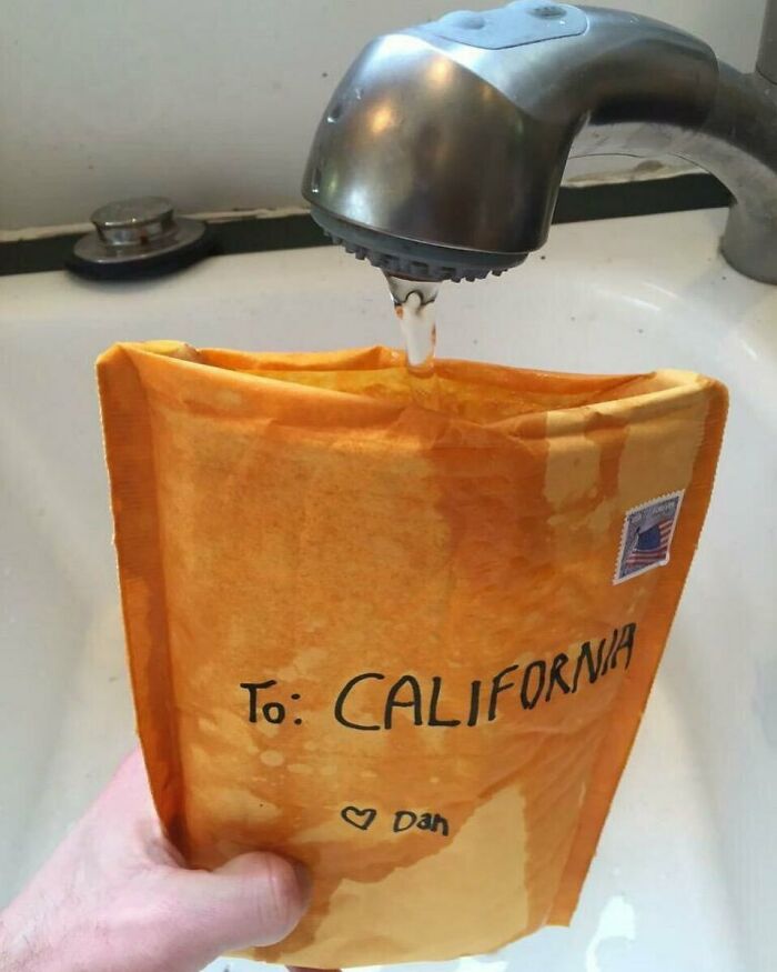 Wait, They Actually Took These?! 49 Totally Bizarre and Hilariously Cursed Pics