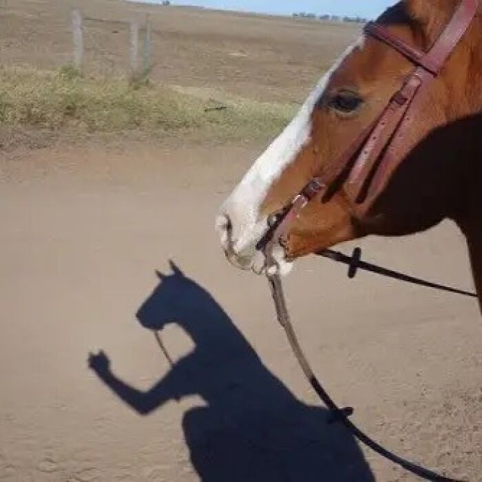 Wait, They Actually Took These?! 49 Totally Bizarre and Hilariously Cursed Pics