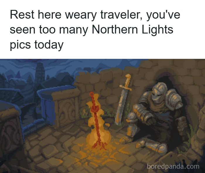 Wait, These Alaska Memes Nail Life Up North!