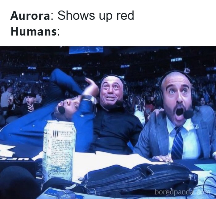 Wait, These Alaska Memes Nail Life Up North!