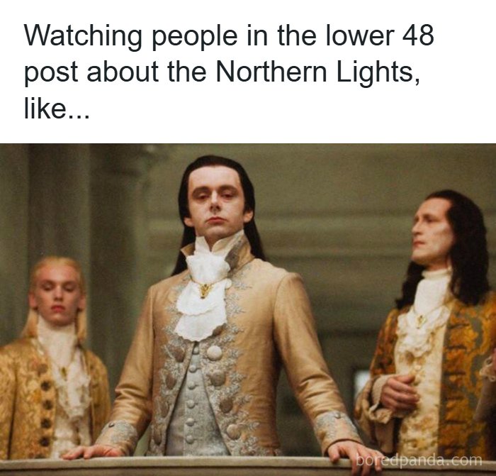 Wait, These Alaska Memes Nail Life Up North!