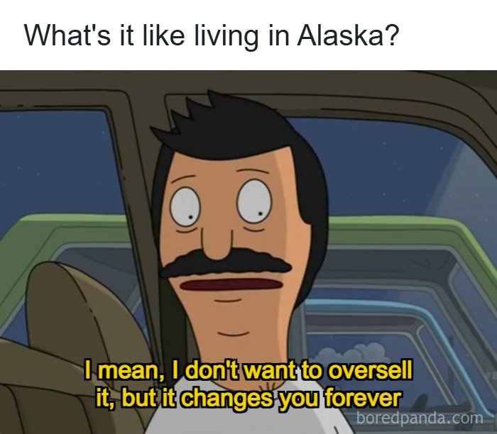 Wait, These Alaska Memes Nail Life Up North!